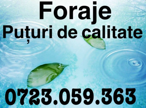 Foraje puturi apă